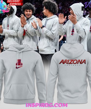 Arizona Cardinals Nfl 2025 Grey All Over Print Hoodie, 3D Hoodie