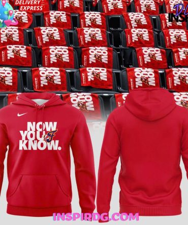 Indiana Fever Now You Know Special Nike All Over Print Hoodie