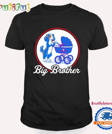 Decoy Ohtani Big Brother La Dodgers T Shirt
