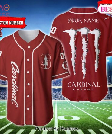 Custom Red Cardinal Baseball Jersey - Personalized Name & Number Sportswear