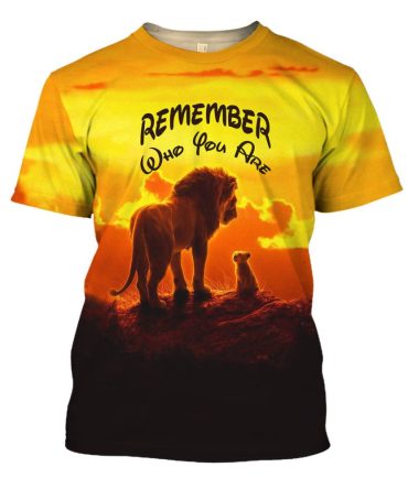 Lk Hoodie Remember Who You Are T-Shirt Amazing Disney Shirt